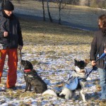 Hundeschule_Ausflug_02