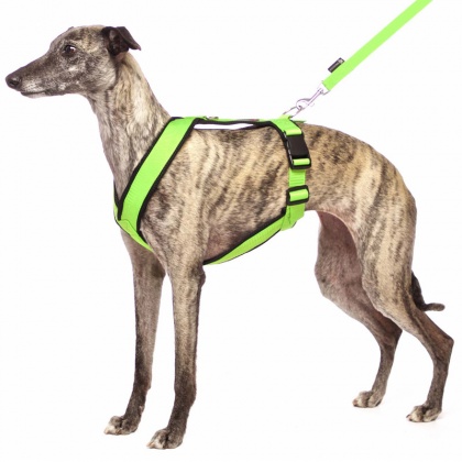 SOFA Dog Wear – Harness Y Geschirr | Hundeschule Bilz